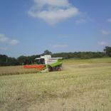 Andrew combining the rapeseed.